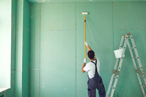  Baltimore, MD Mold Removal Pros