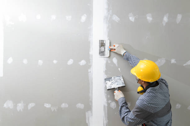 Best Mold Damage Restoration  in Baltimore, MD
