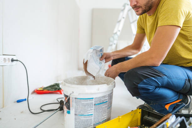 Best Black Mold Removal  in Baltimore, MD