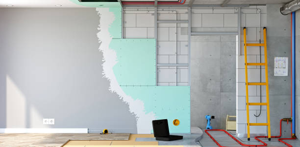 Best Emergency Mold Remediation  in Baltimore, MD