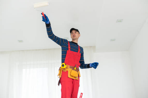 Best Black Mold Removal  in Baltimore, MD