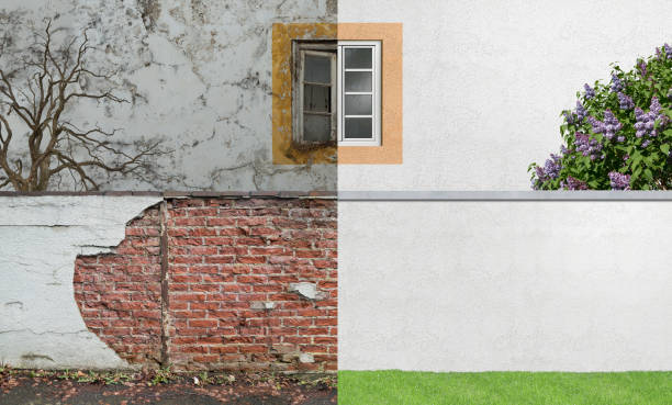 Best Industrial Mold Remediation  in Baltimore, MD