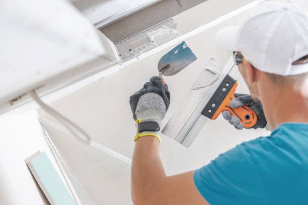 Reliable Baltimore, MD Mold Removal Solutions